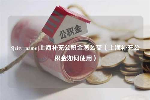 黄南上海补充公积金怎么交（上海补充公积金如何使用）